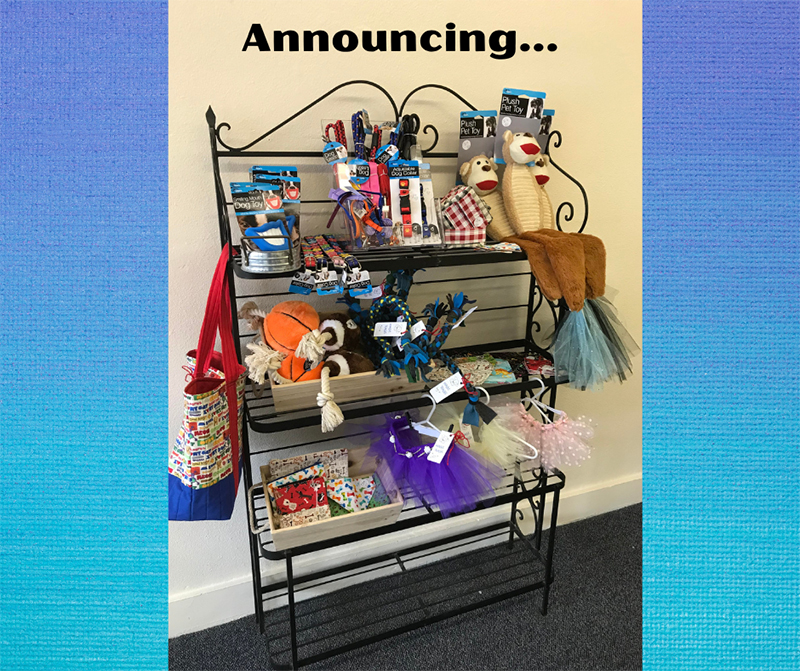 Pet Grooming Salon in Cheyenne, WY Four Paws Grooming